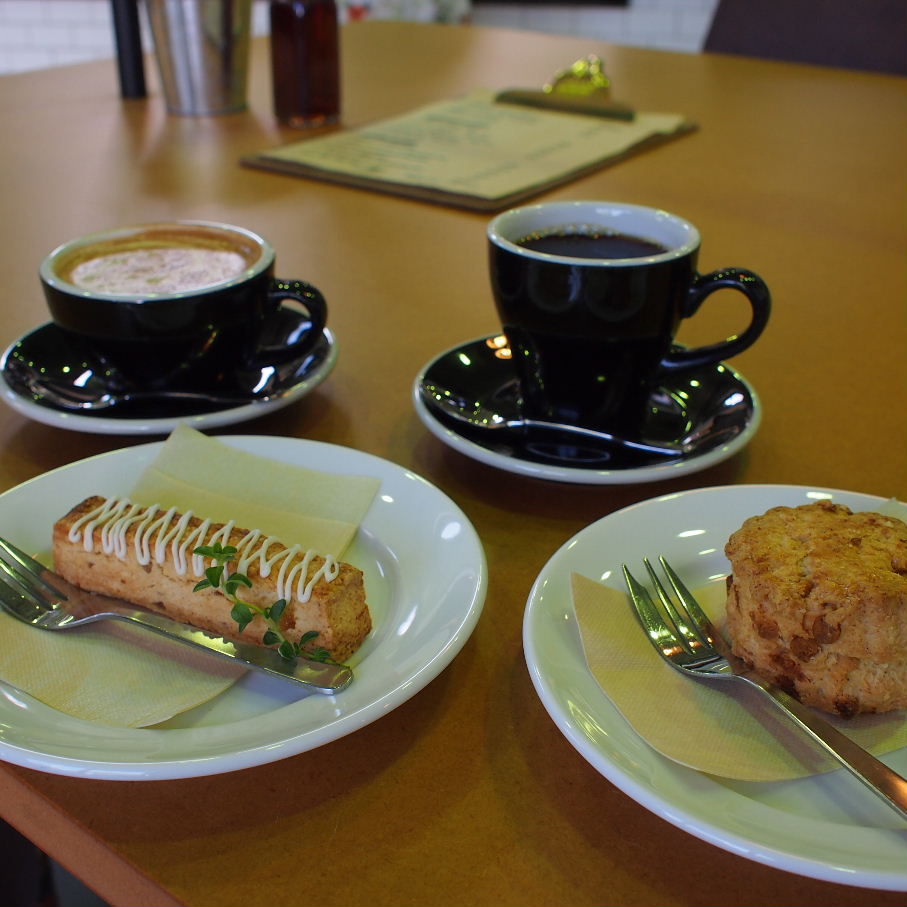 novold coffee roasters