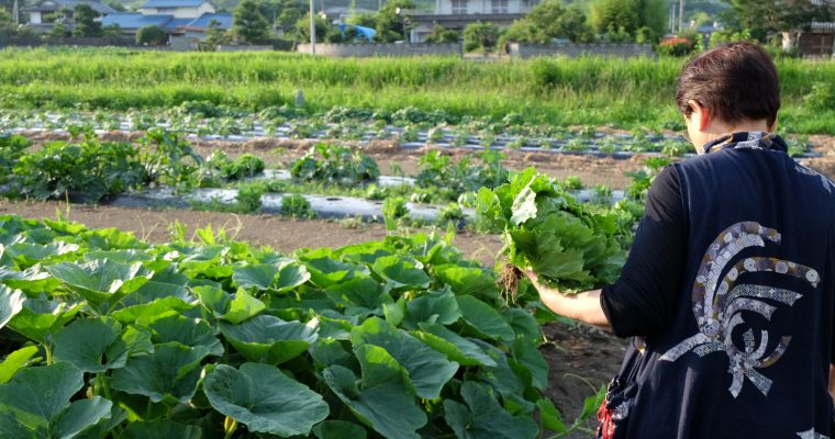 有機農園小七郎さん