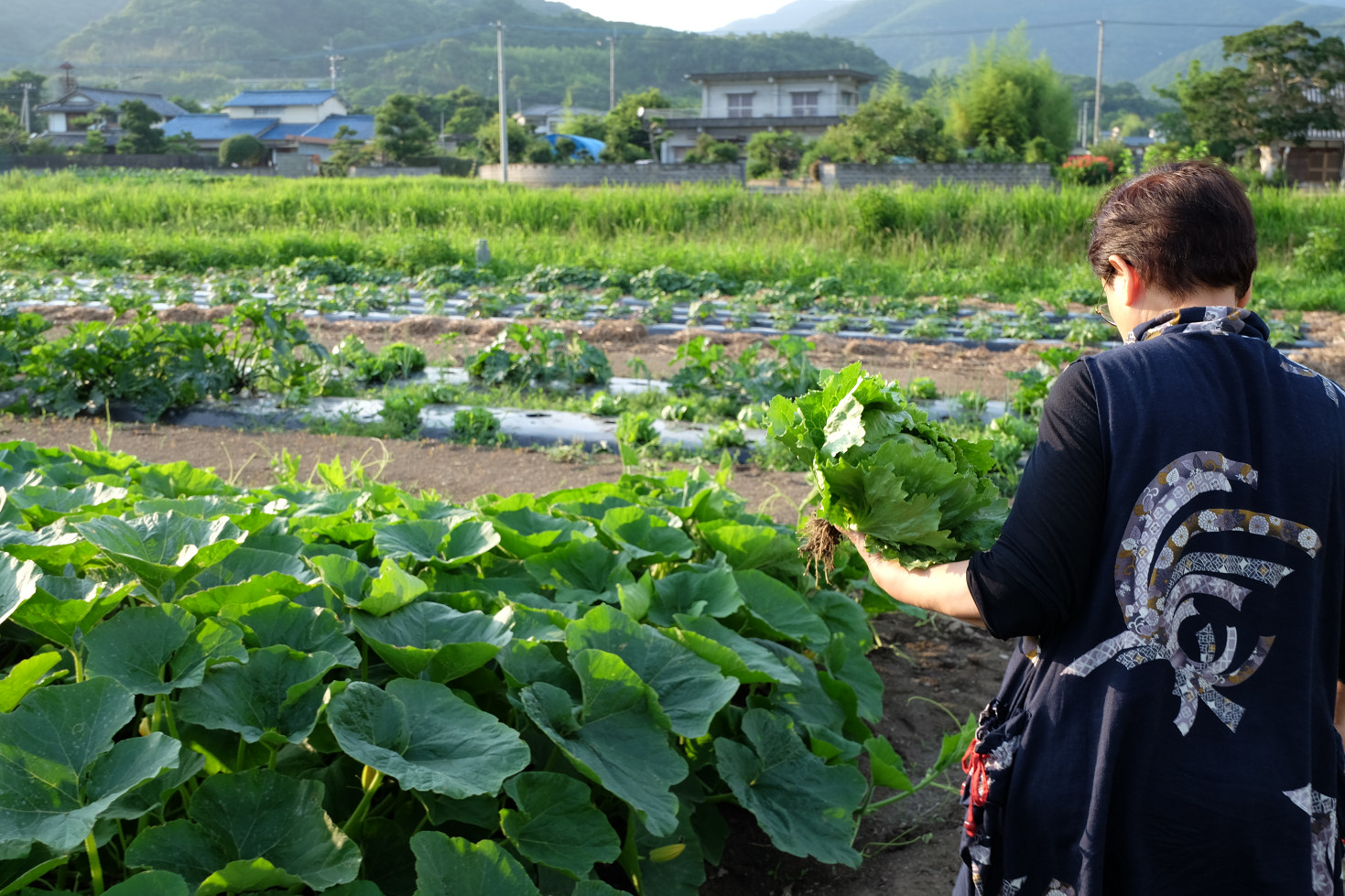 有機農園小七郎さん