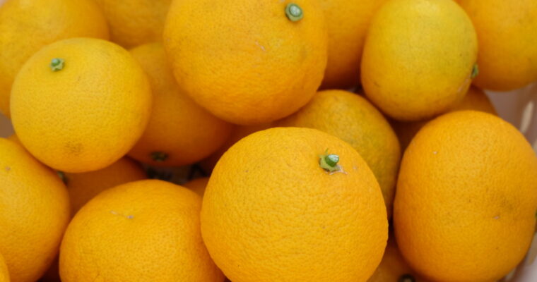 ゆこうまつり、ご来店ありがとうございました！