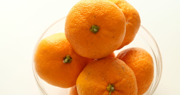 ゆこう、阿波すず香、みかん、甘夏、いよかん、完熟すだち、ゆず、レモン、…この時期徳島は柑橘が勢ぞろい。