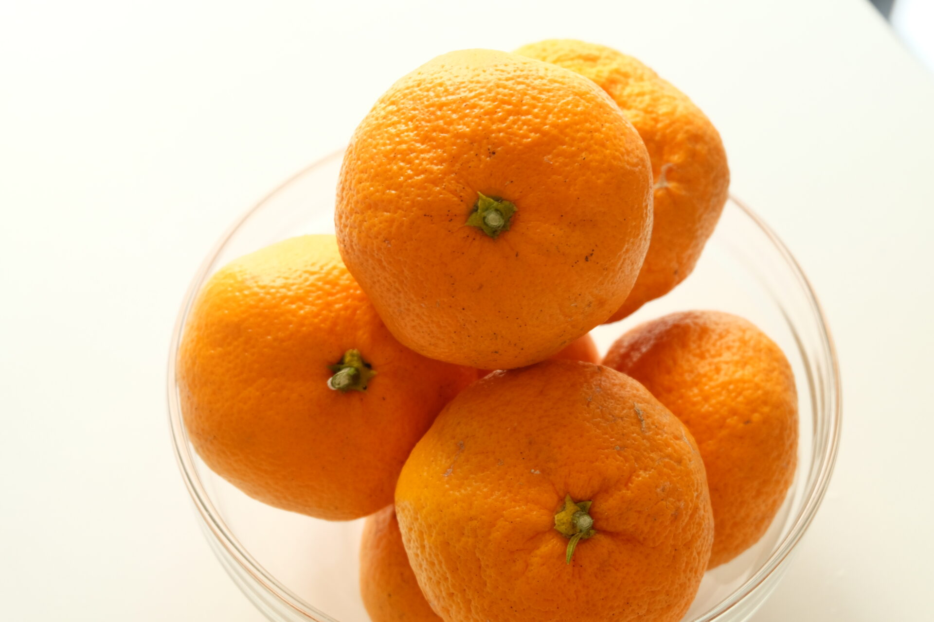 ゆこう、阿波すず香、みかん、甘夏、いよかん、完熟すだち、ゆず、レモン、…この時期徳島は柑橘が勢ぞろい。